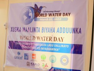 Read more about the article Garowe:  Maareeyaha guud ee wakaladda horumarinta biyaha puntland Maxamed Abdiqadir Maxamed ayaa ka qayb galay Xuska Malinta Biyaha Adunka .